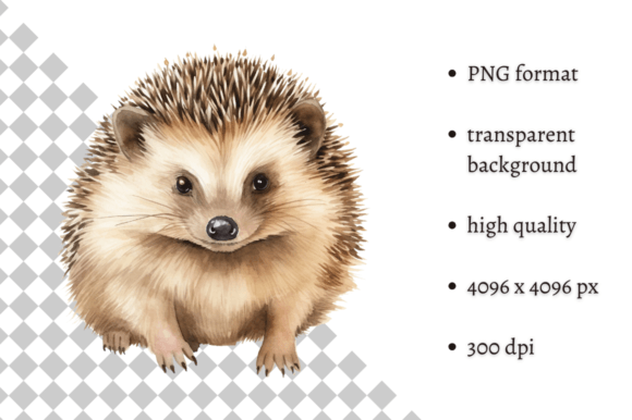 Download Watercolor Woodland Hedgehog PNG Clipart - Woodland hedgehog Collection