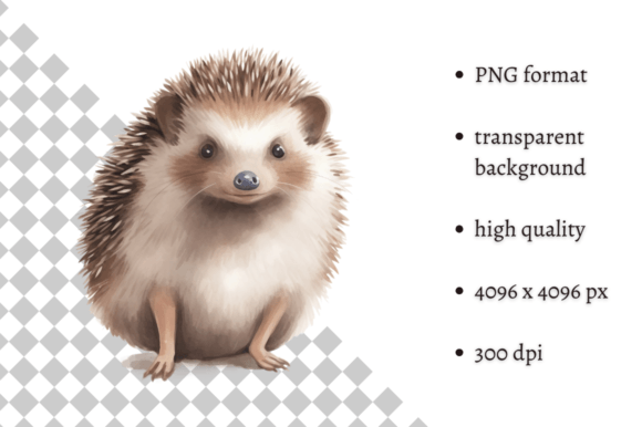 Download Watercolor Woodland Hedgehog PNG Clipart - Woodland hedgehog Collection