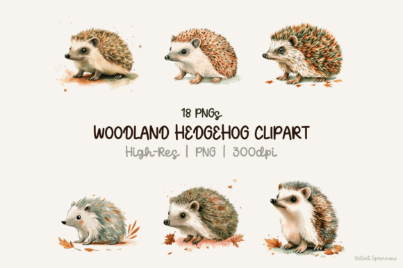 Download Woodland Hedgehog Clipart - Woodland hedgehog Collection